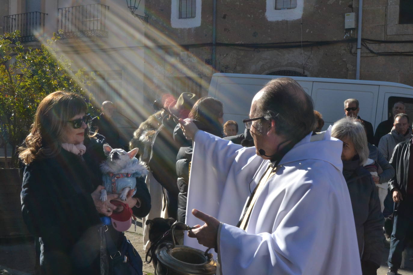 Ciudad Rodrigo comienza las bendiciones de San Antón