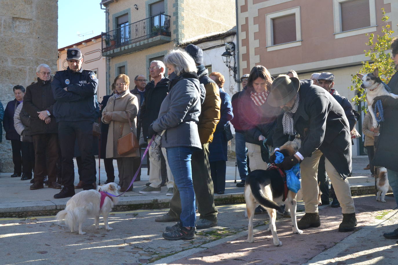 Ciudad Rodrigo comienza las bendiciones de San Antón