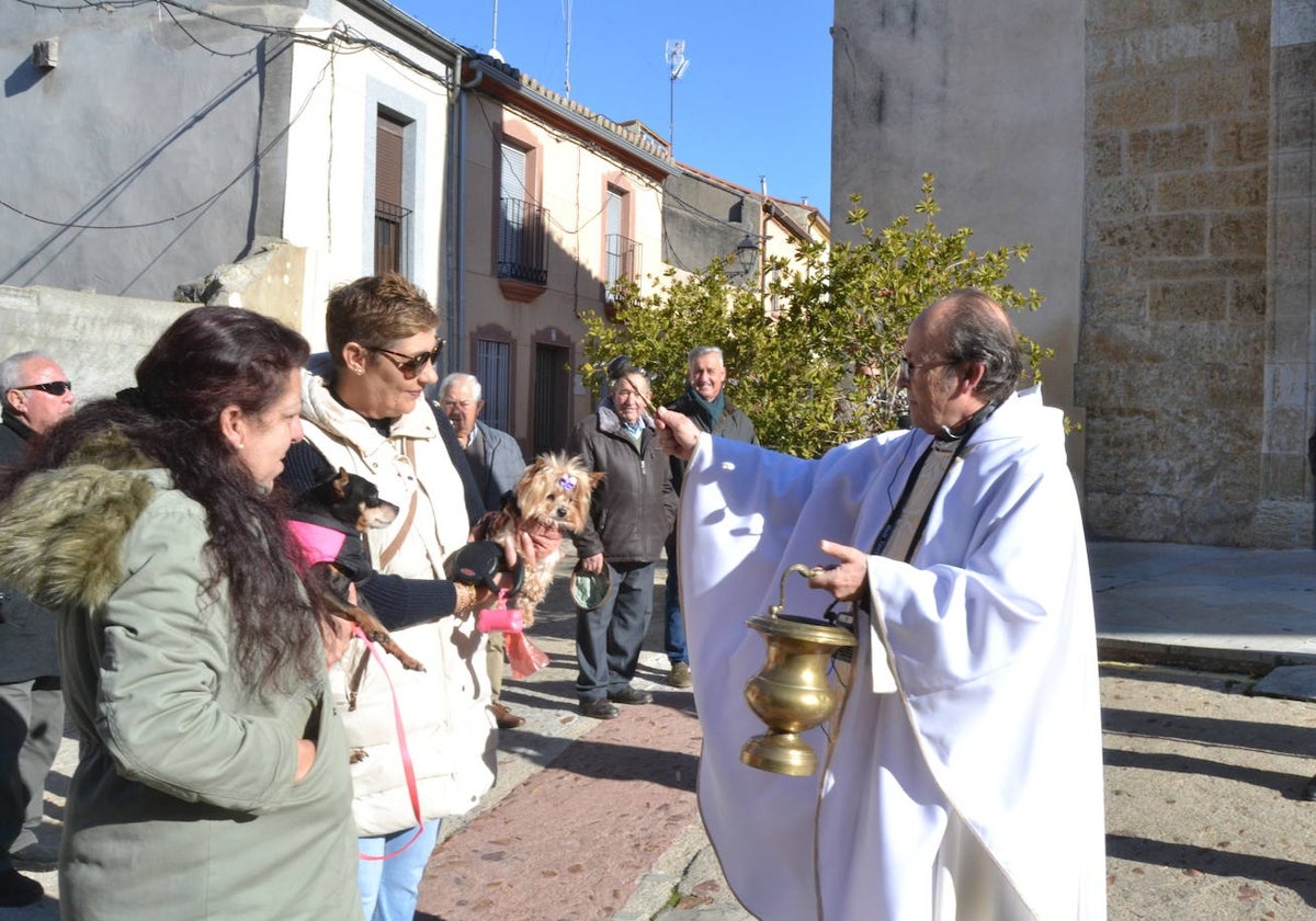 Ciudad Rodrigo comienza las bendiciones de San Antón