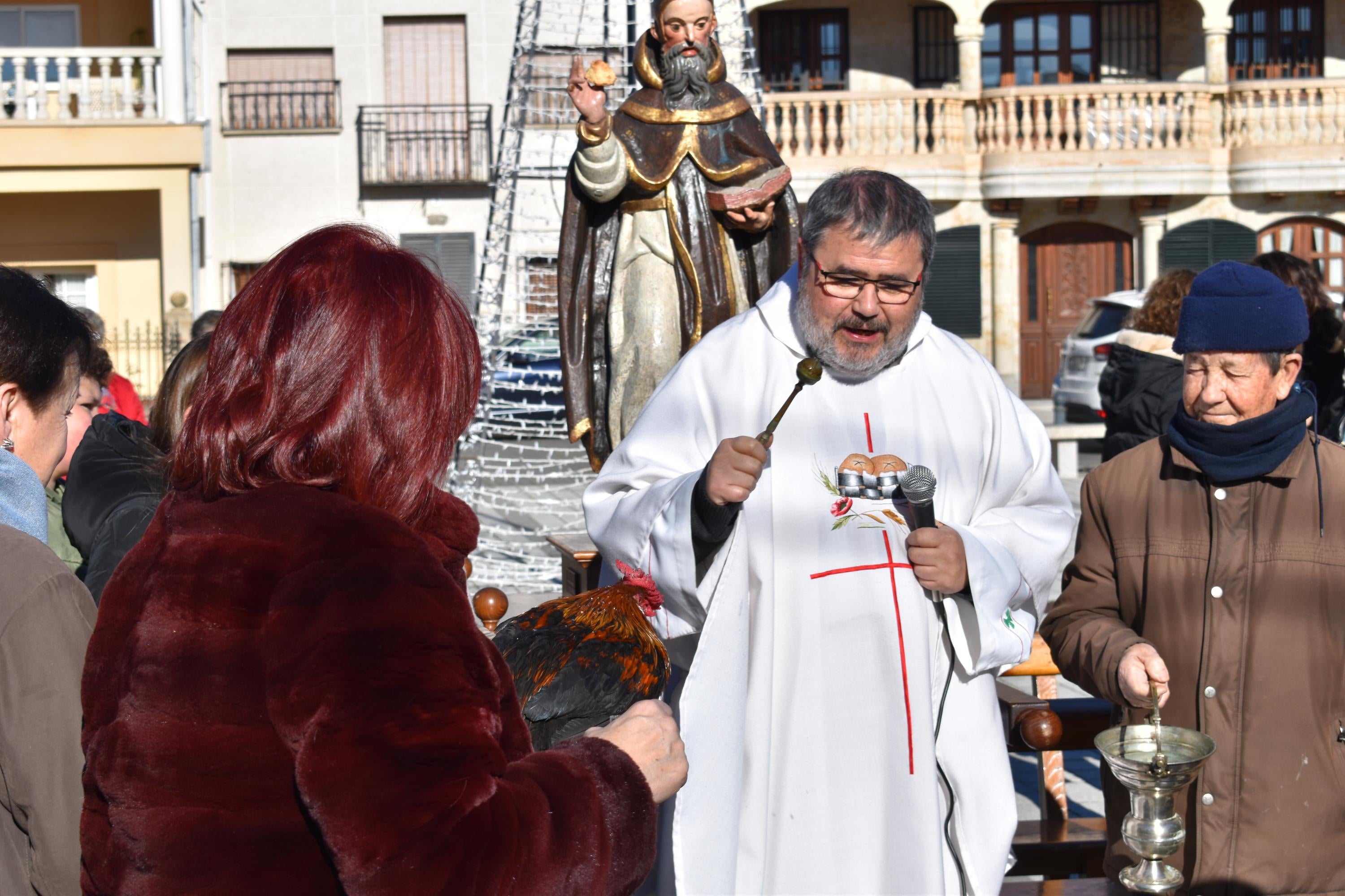 Gallos, tortugas, agapornis y una cobaya reciben la bendición de San Antón en Calzada de Valdunciel