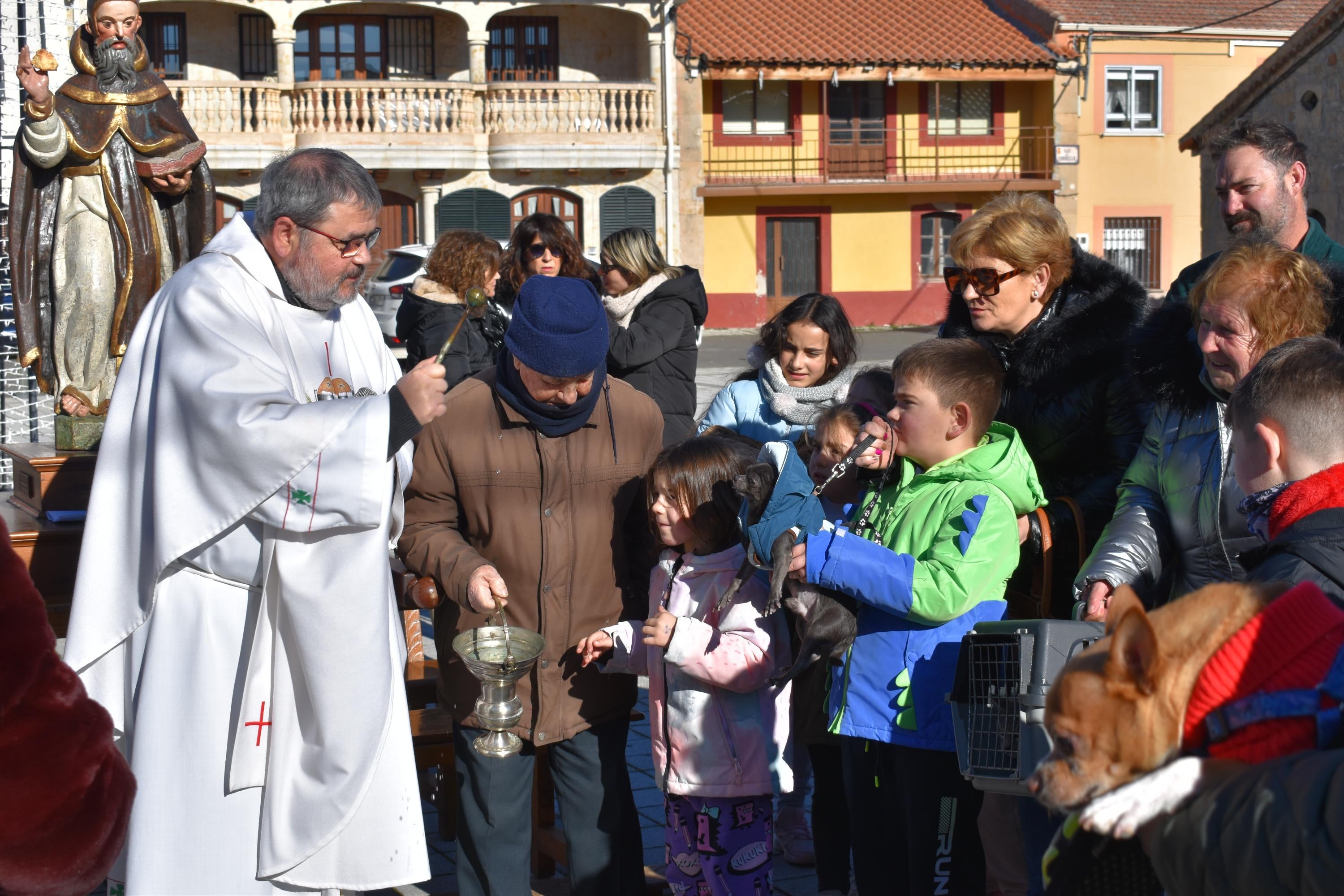 Gallos, tortugas, agapornis y una cobaya reciben la bendición de San Antón en Calzada de Valdunciel