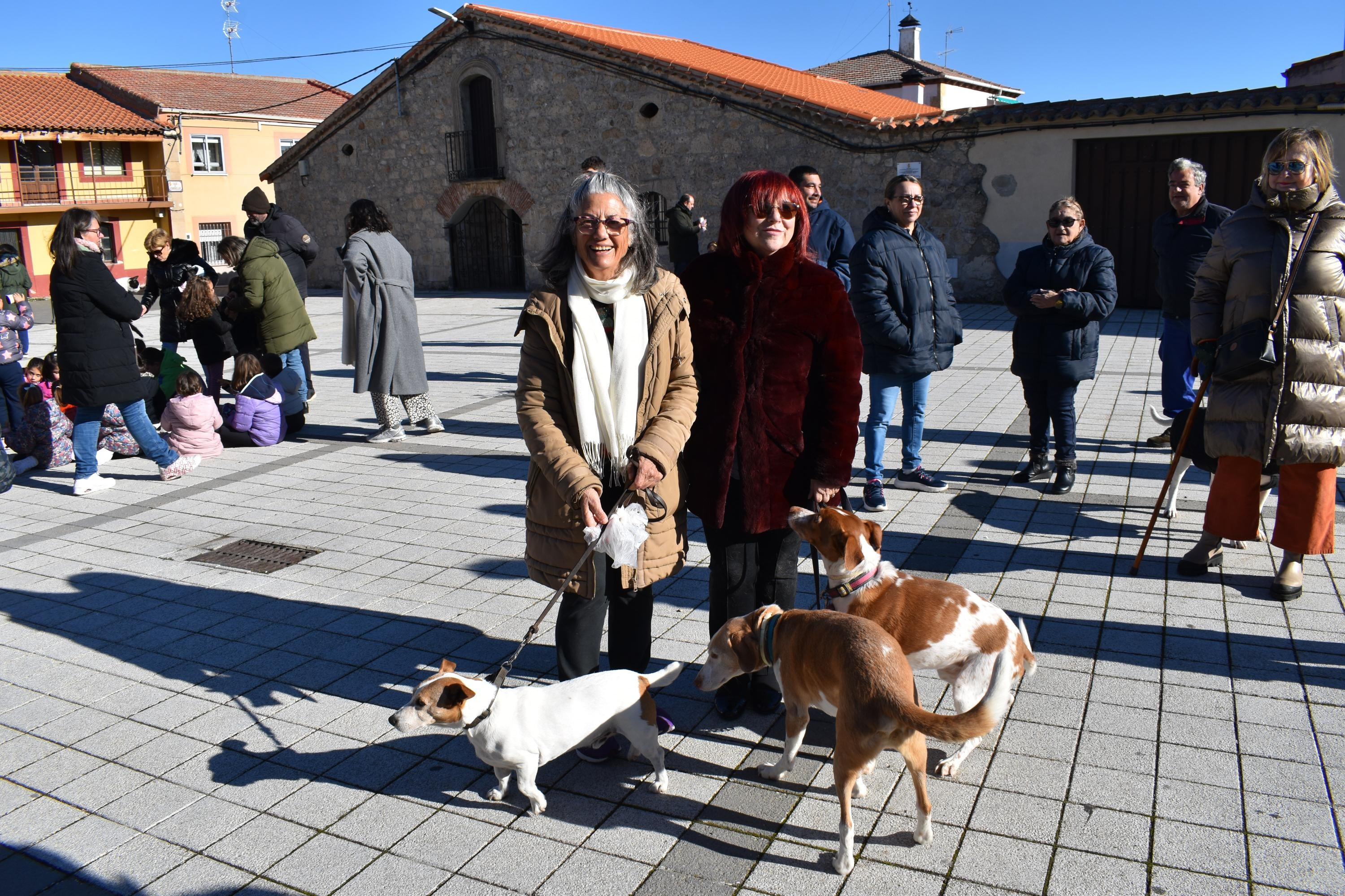 Gallos, tortugas, agapornis y una cobaya reciben la bendición de San Antón en Calzada de Valdunciel