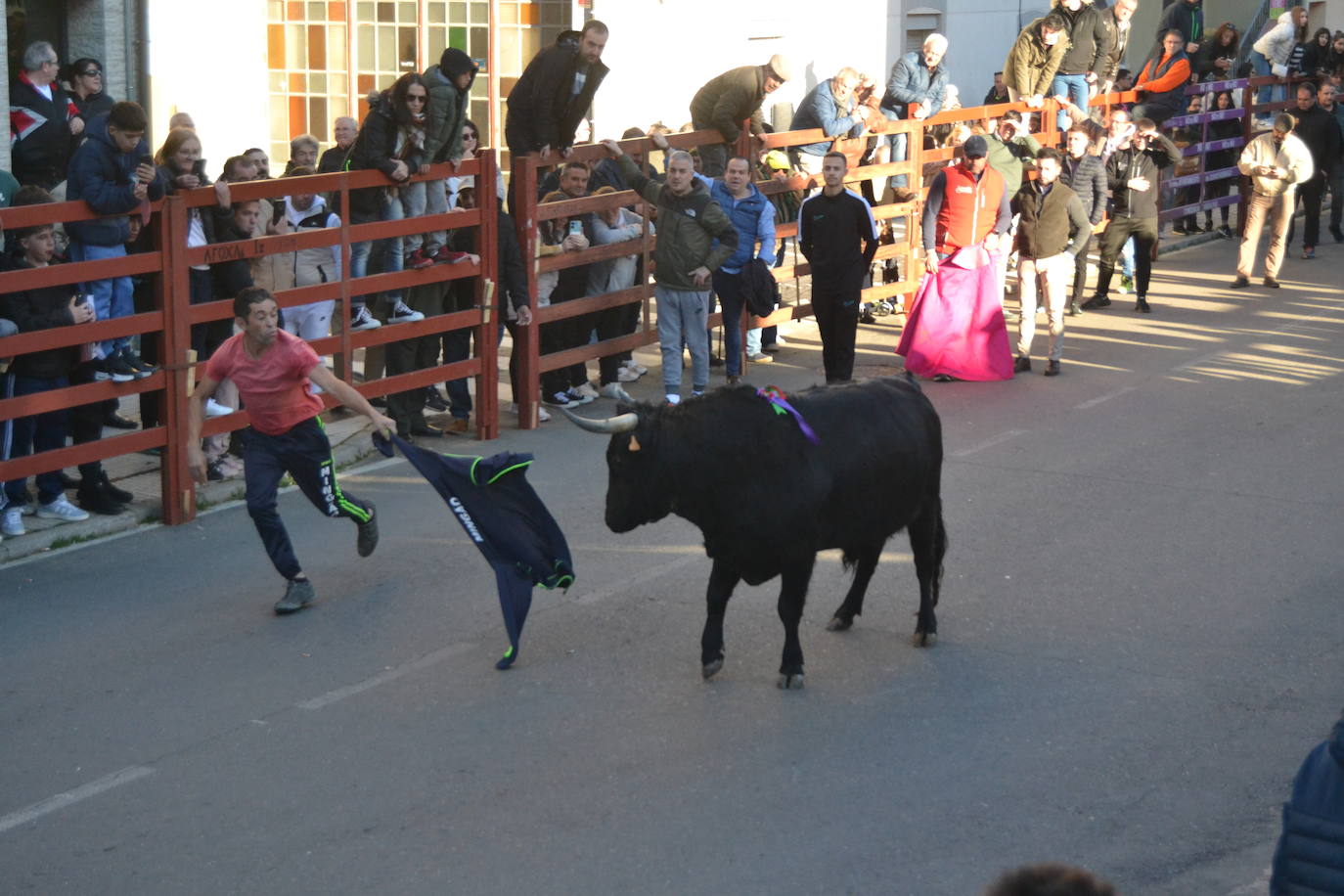 Bonita tarde taurina en Ciudad Rodrigo