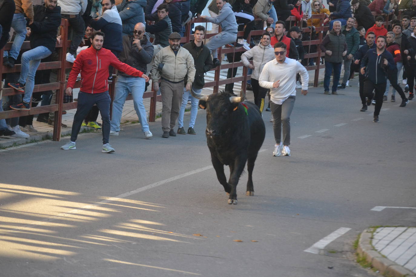 Bonita tarde taurina en Ciudad Rodrigo