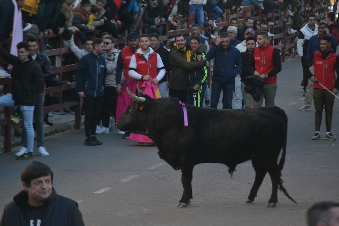 Bonita tarde taurina en Ciudad Rodrigo