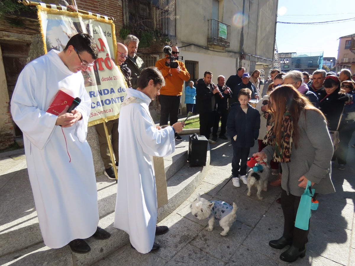 Protección divina para los más fieles de Peñaranda