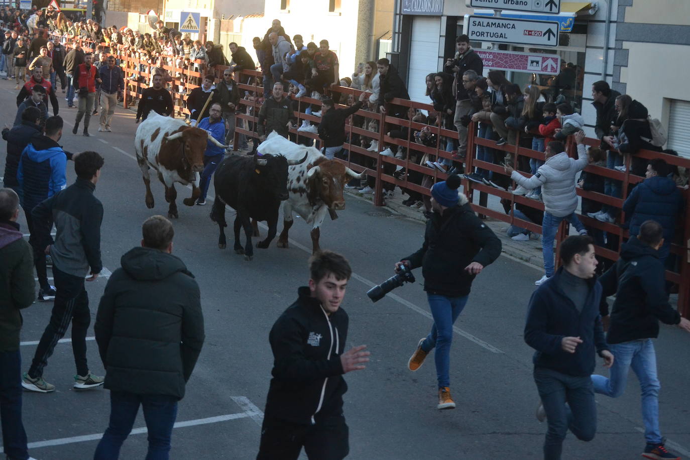 Bonita tarde taurina en Ciudad Rodrigo