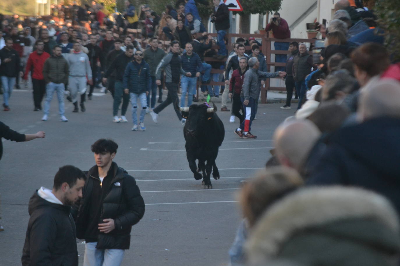 Bonita tarde taurina en Ciudad Rodrigo