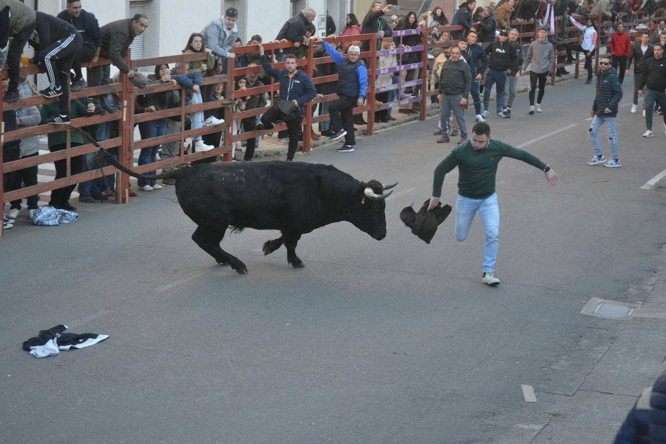 Bonita tarde taurina en Ciudad Rodrigo