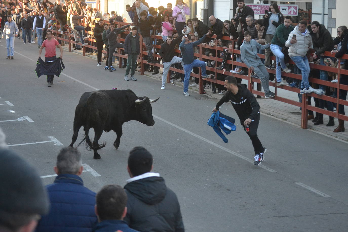 Bonita tarde taurina en Ciudad Rodrigo