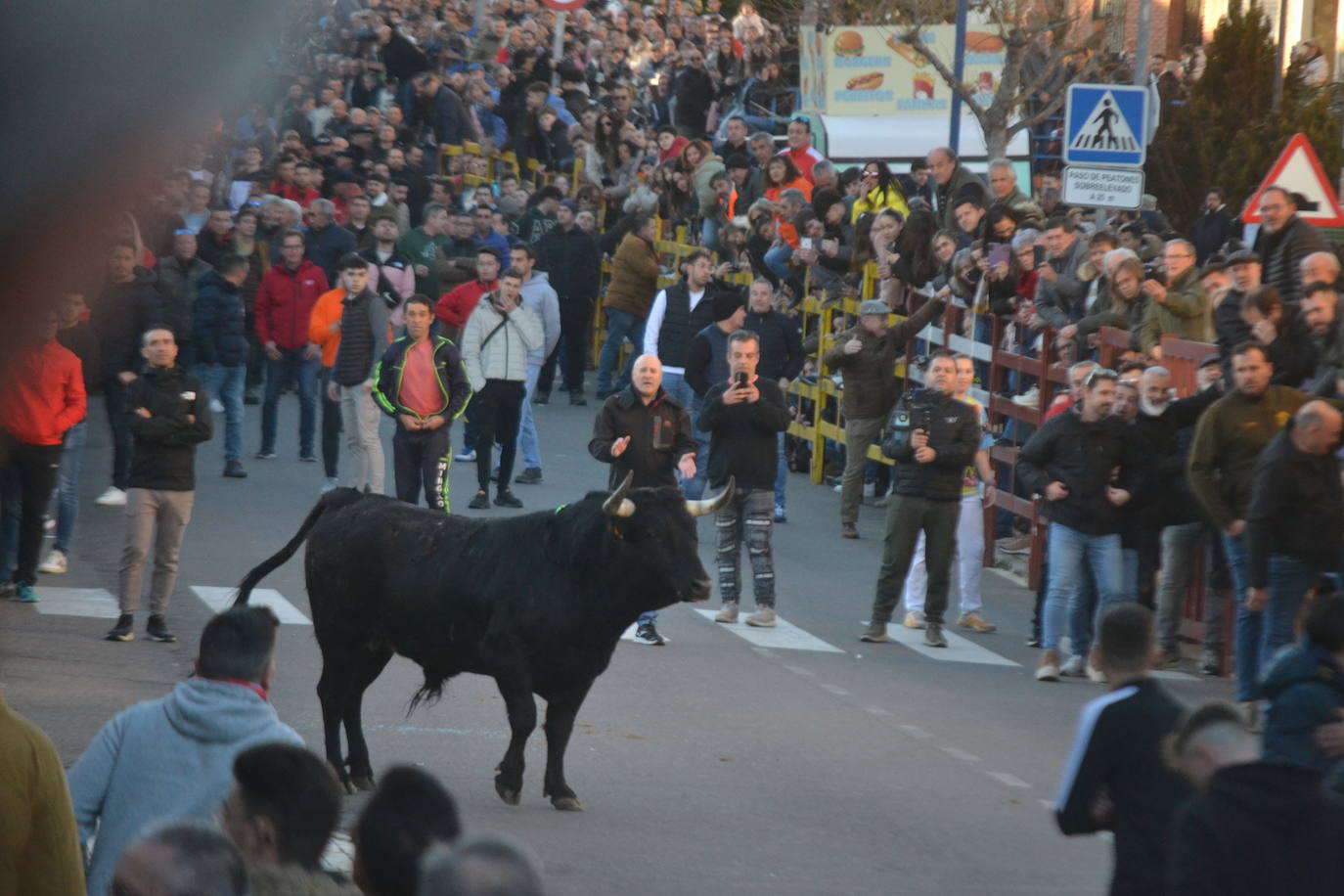 Bonita tarde taurina en Ciudad Rodrigo