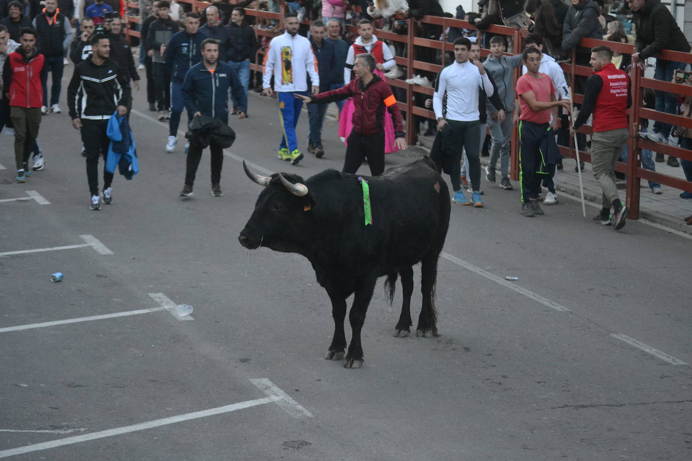 Bonita tarde taurina en Ciudad Rodrigo