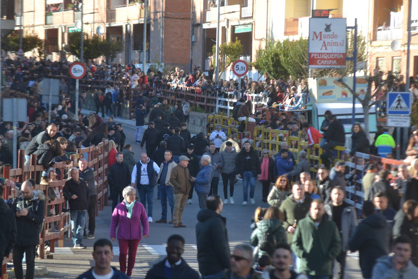 Bonita tarde taurina en Ciudad Rodrigo