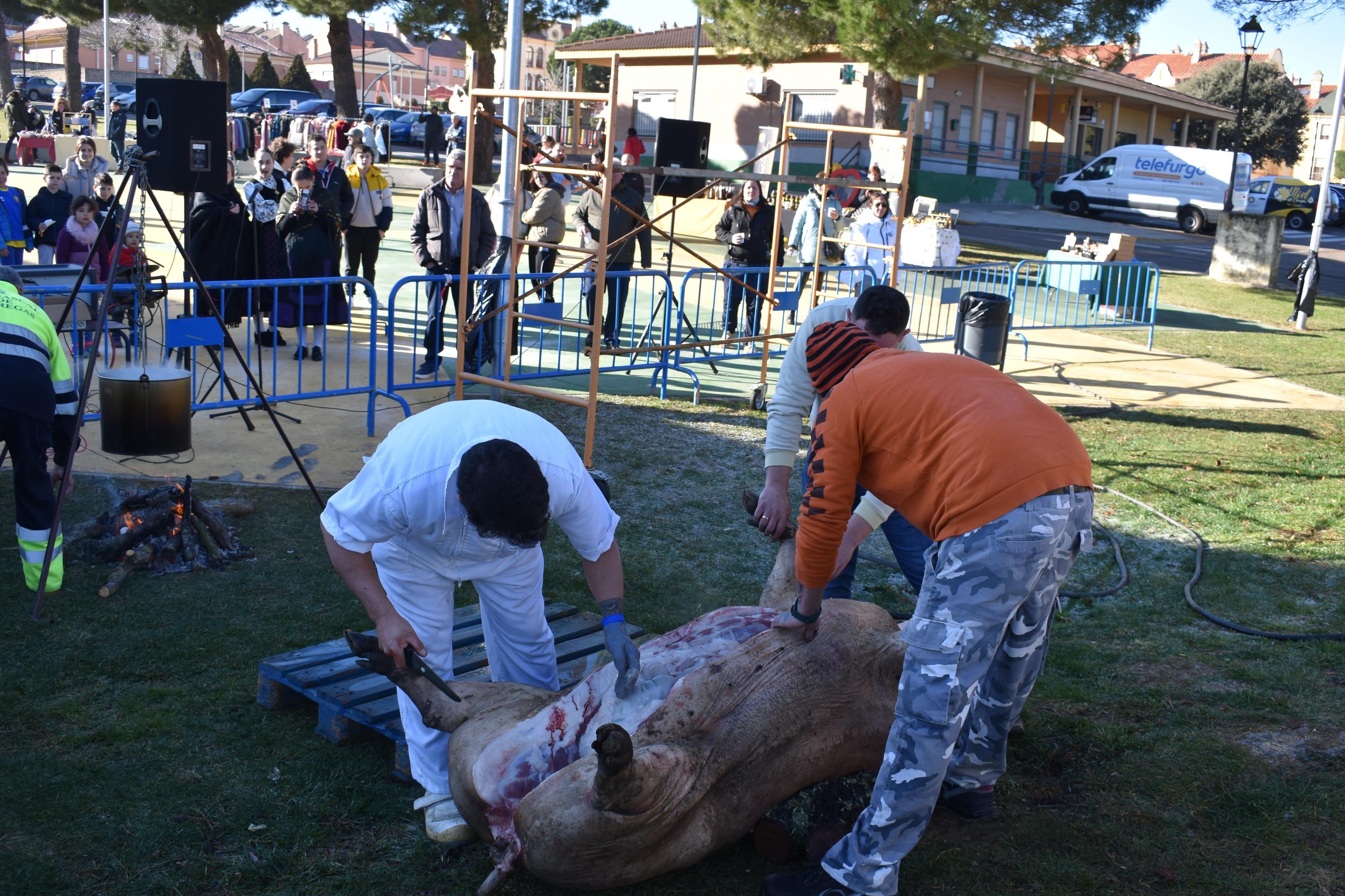 300 kilos de cerdo en la matanza de Carrascal de Barregas