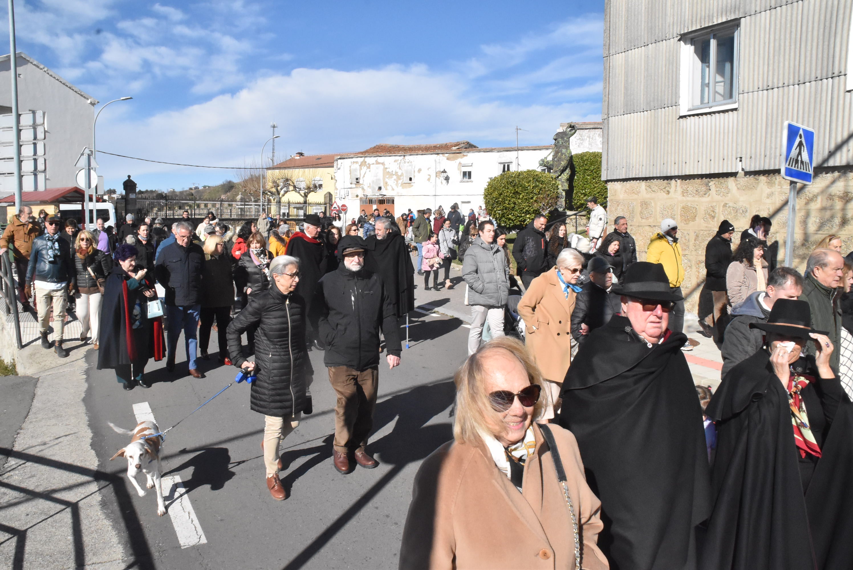 San Antón renueva la protección a los animales en Béjar