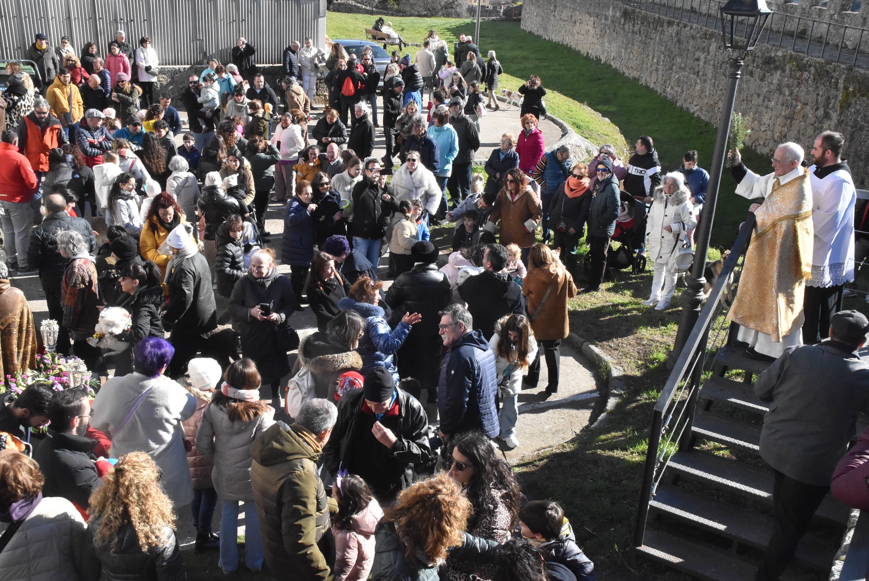 San Antón renueva la protección a los animales en Béjar