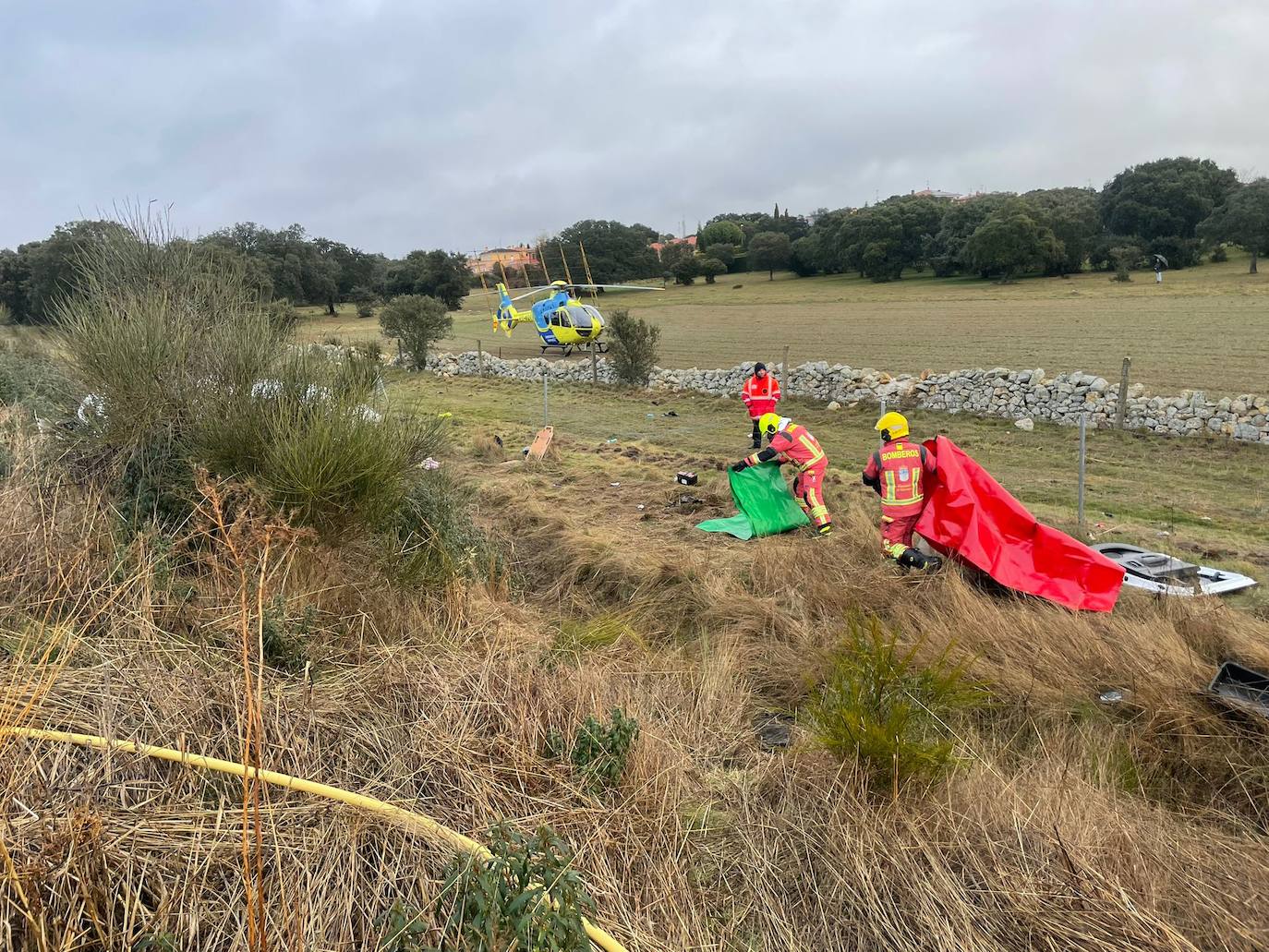 Así ha quedado el vehículo accidentado en Buenavista