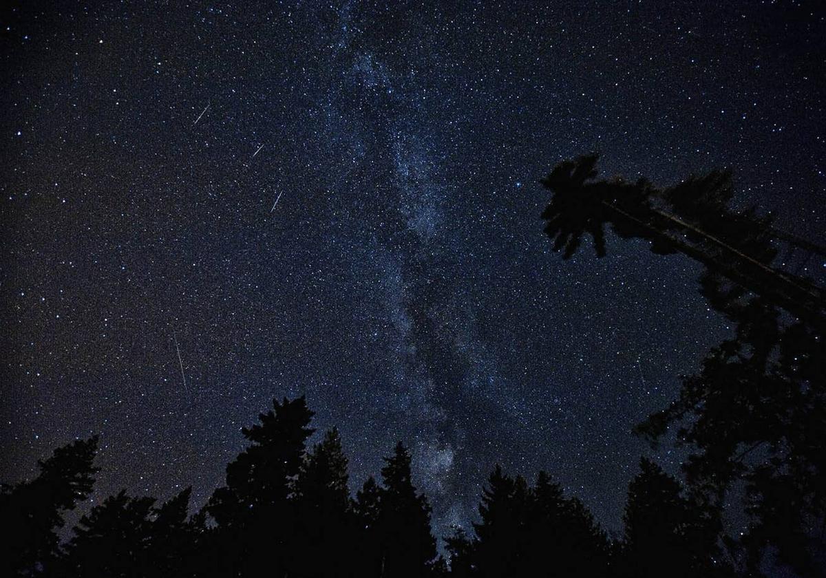 El cielo durante una oscura noche en un bosque.