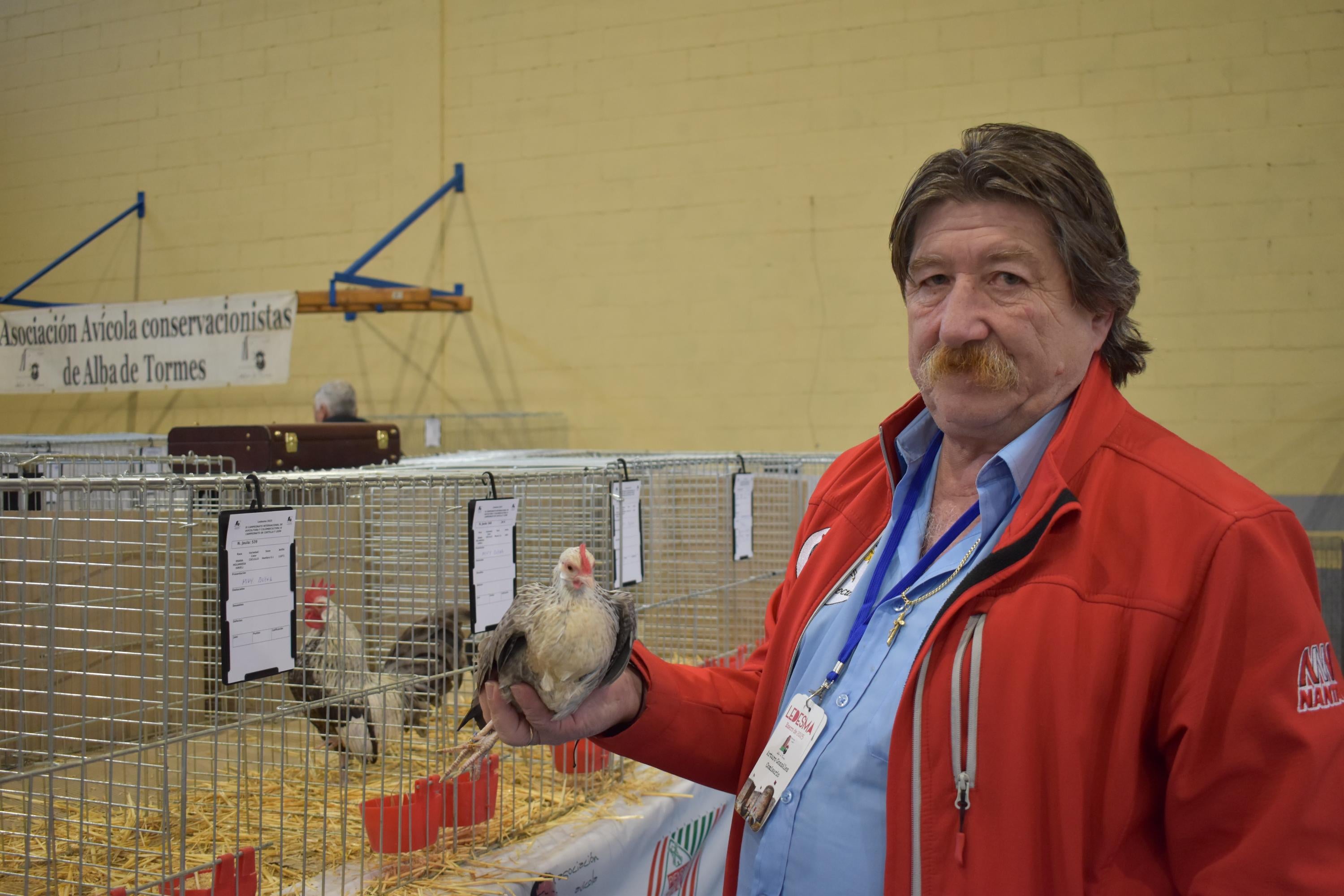 Así son las gallinas, palomas y conejos que seducen al público de Ledesma