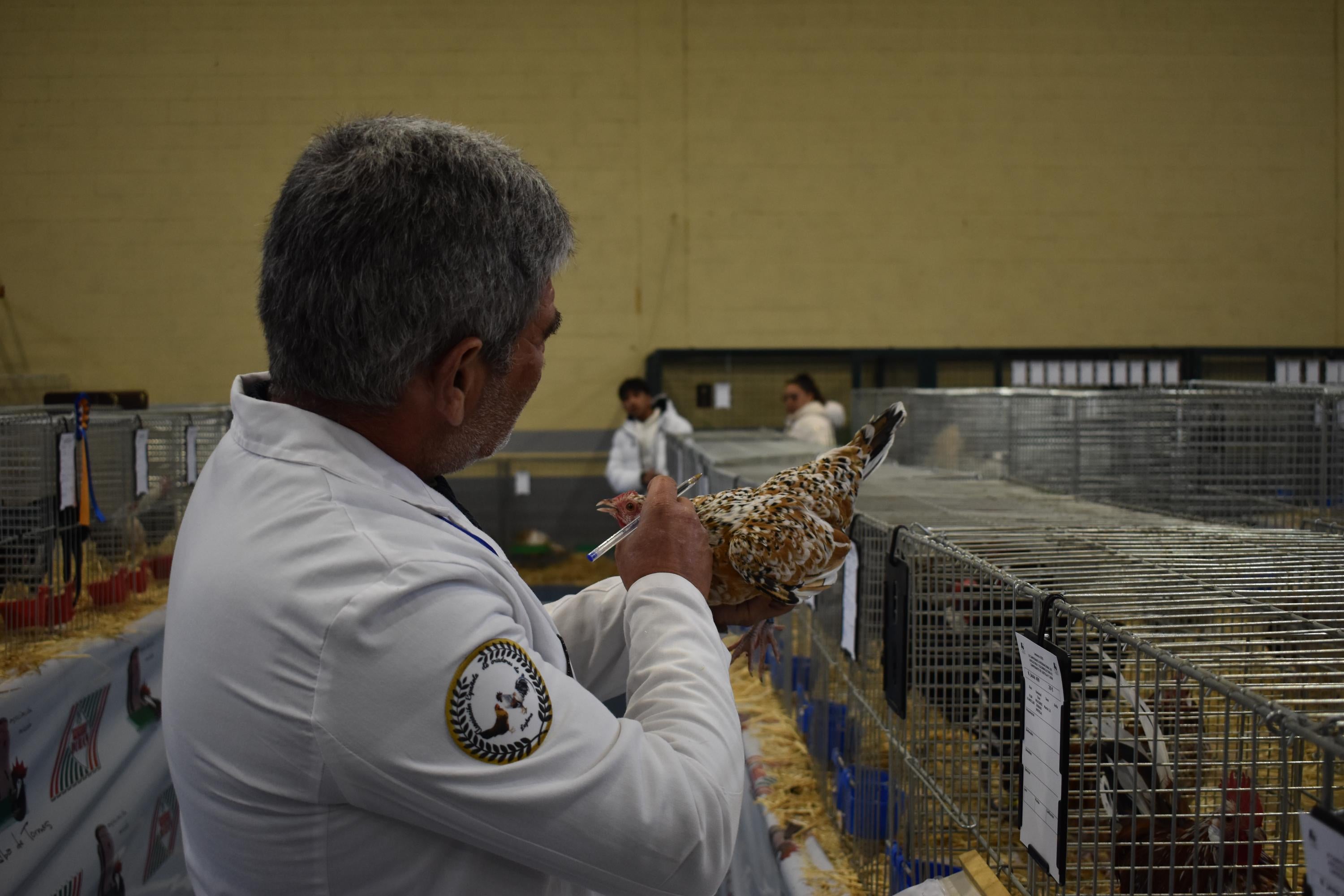 Así son las gallinas, palomas y conejos que seducen al público de Ledesma