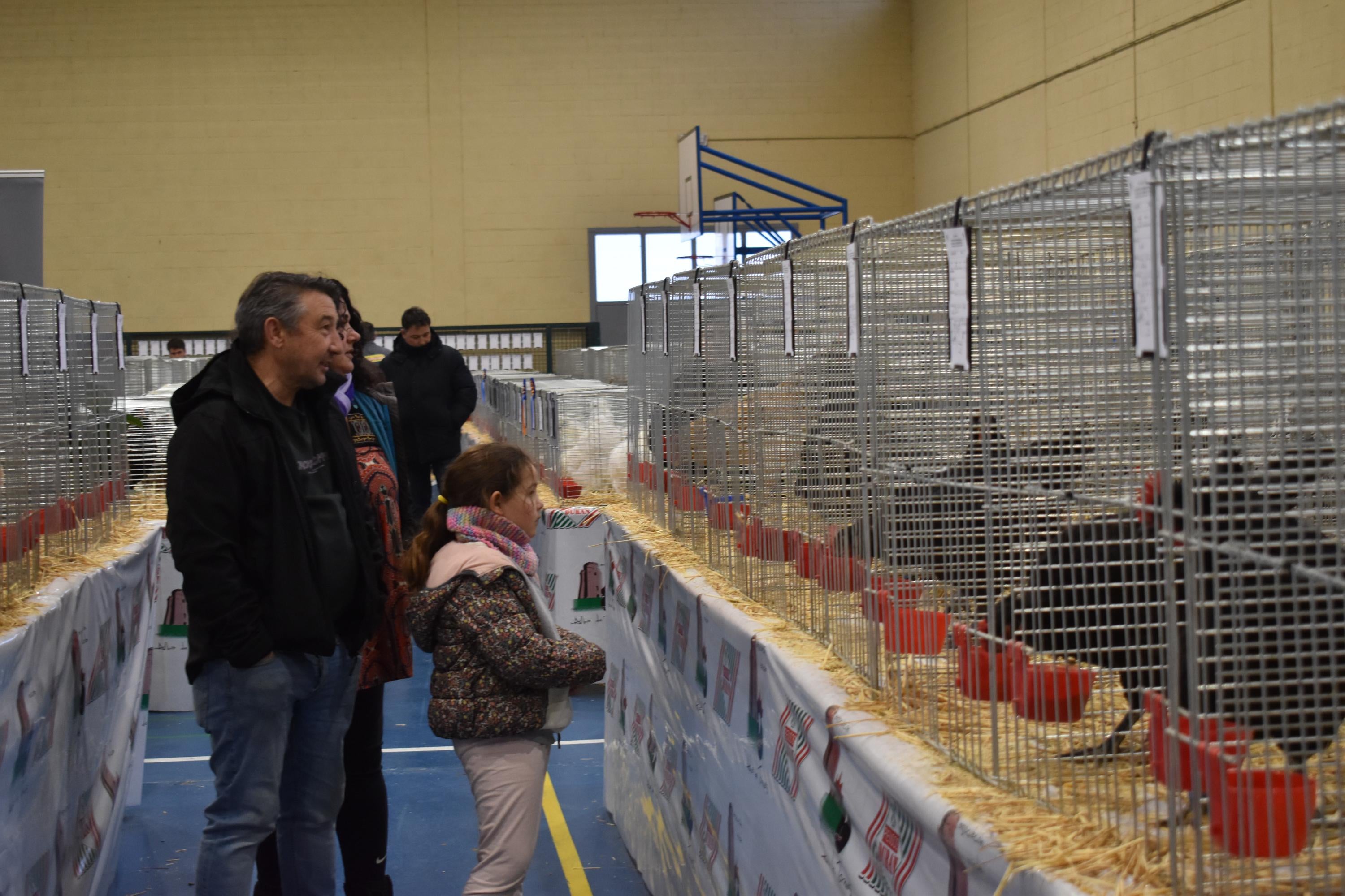 Así son las gallinas, palomas y conejos que seducen al público de Ledesma