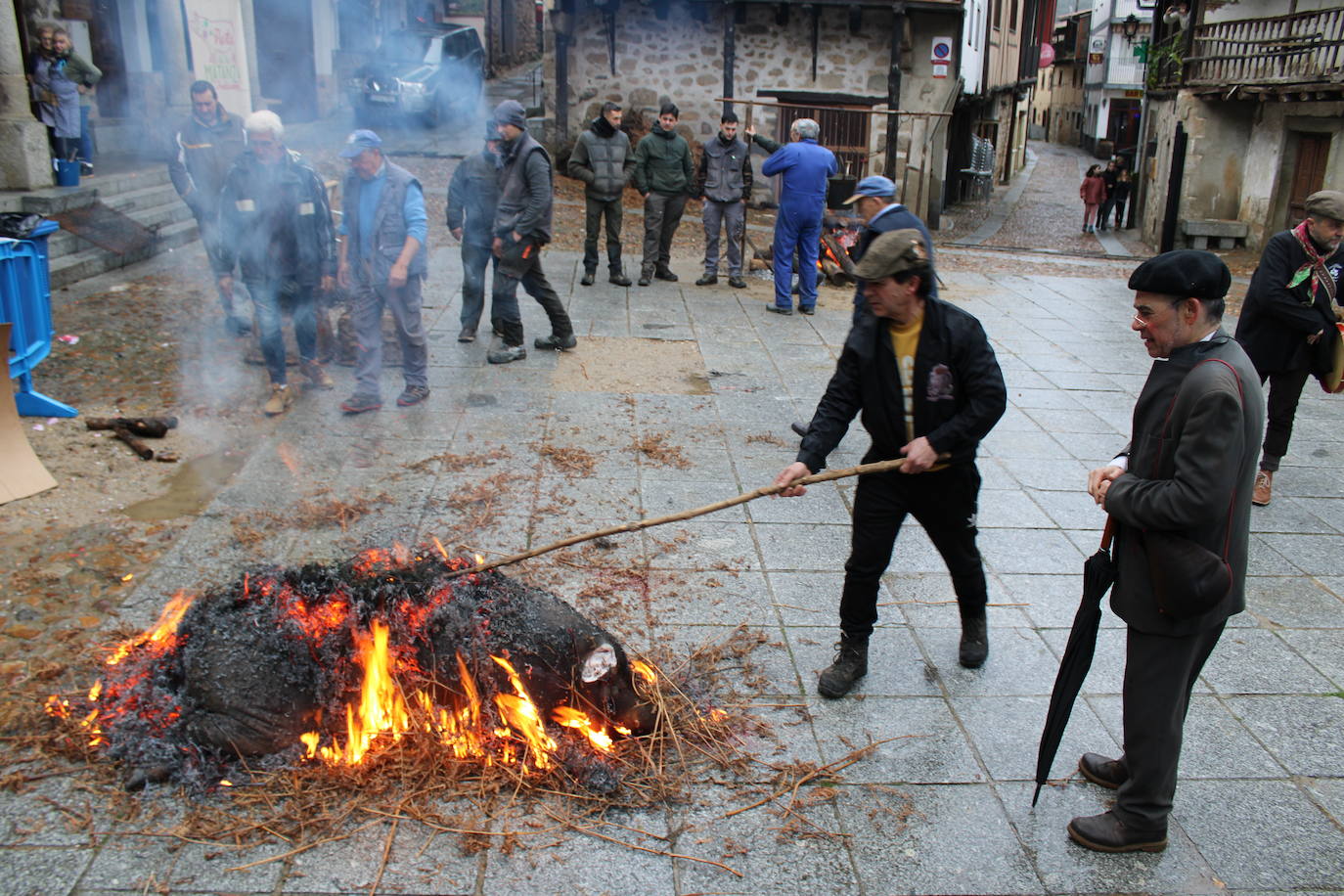 San Esteban de la Sierra disfruta de su matanza tradicional