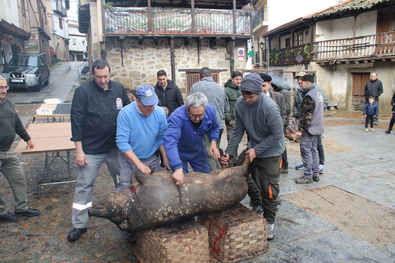 San Esteban de la Sierra disfruta de su matanza tradicional