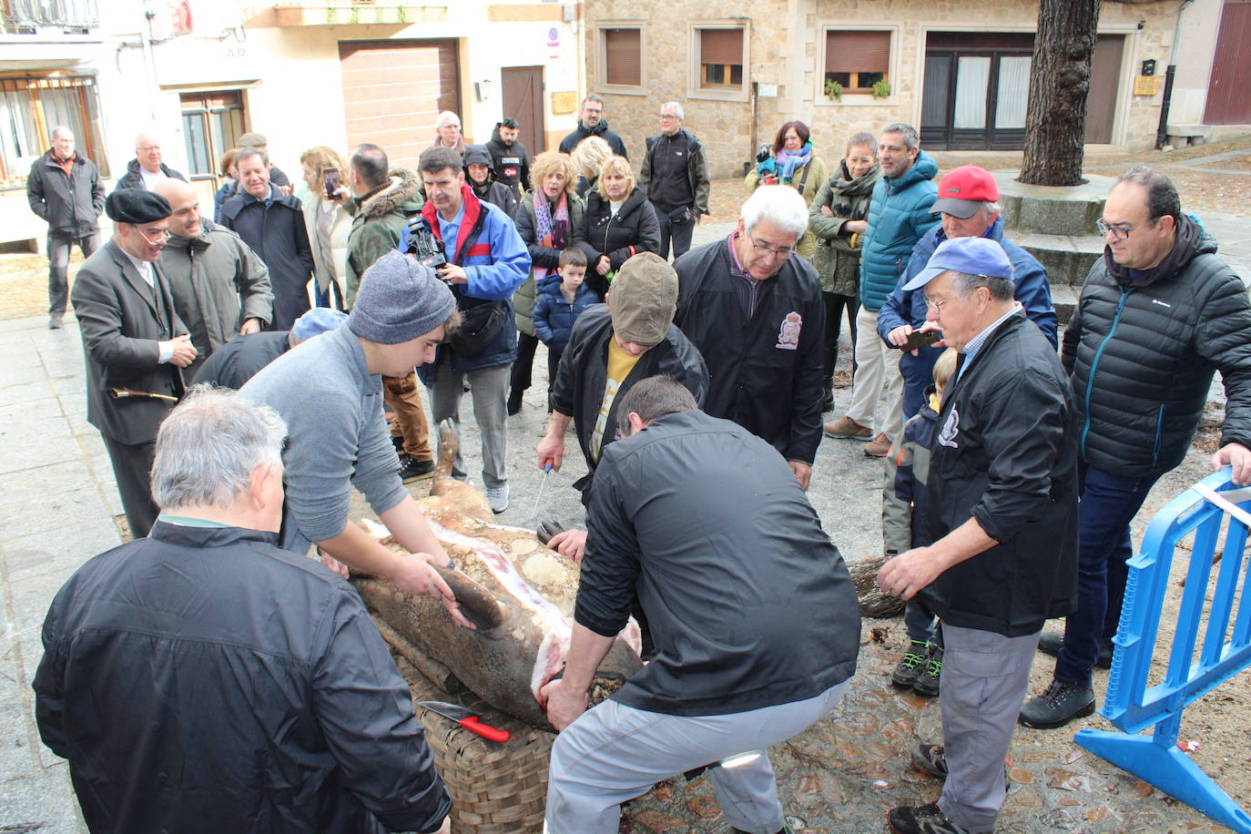 San Esteban de la Sierra disfruta de su matanza tradicional