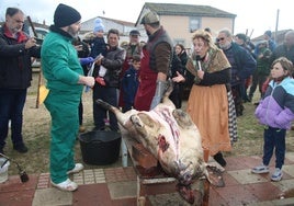 La matanza tradicional de Pelabravo