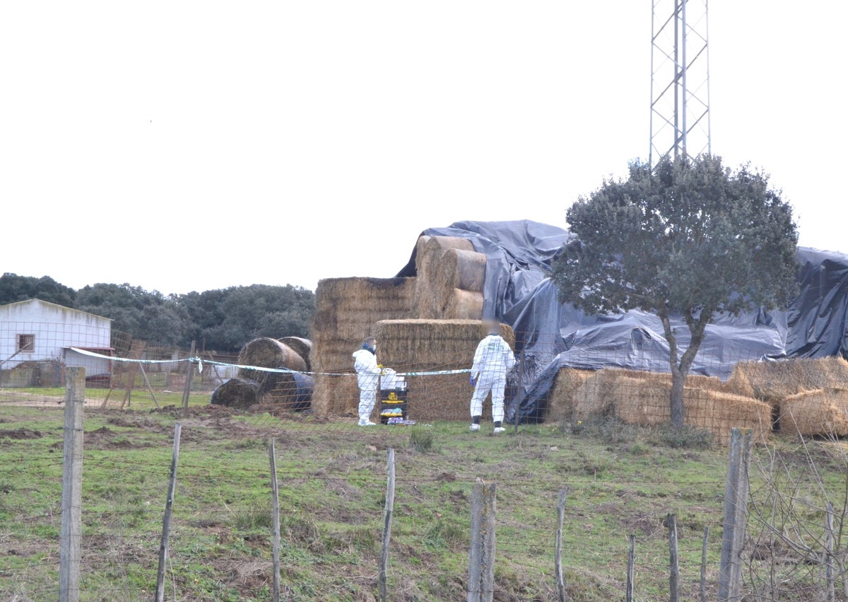 Imagen secundaria 1 - Agentes del Servicio de Criminalística de la Guardia Civil y de la Policía Local de Ciudad Rodrigo investigan sobre el terreno en una finca de Sanjuanejo, en Ciudad Rodrigo.