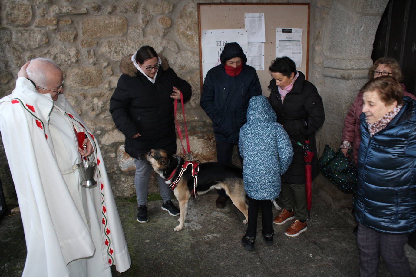 Sanchotello celebra la festividad de San Antón