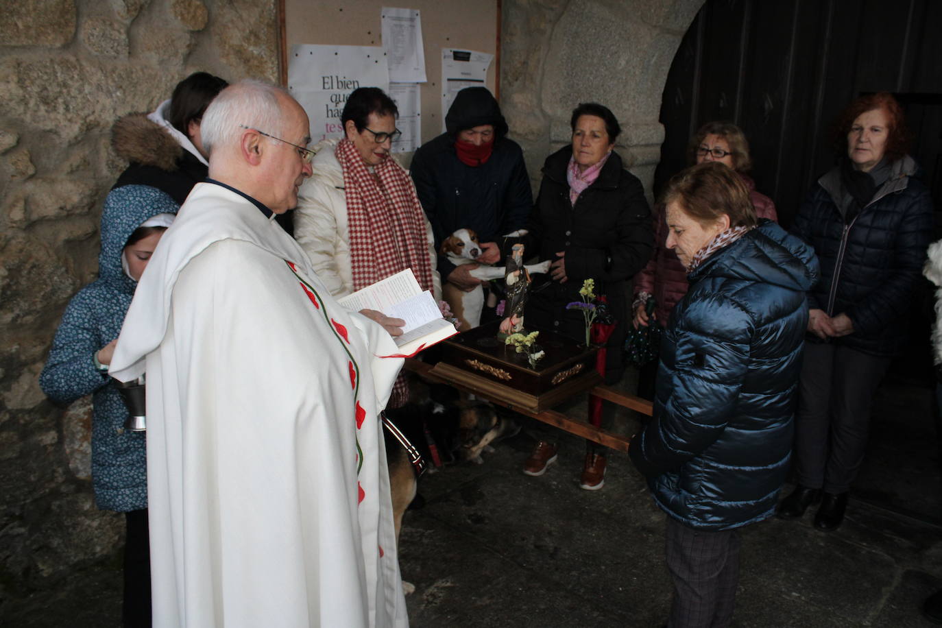 Sanchotello celebra la festividad de San Antón