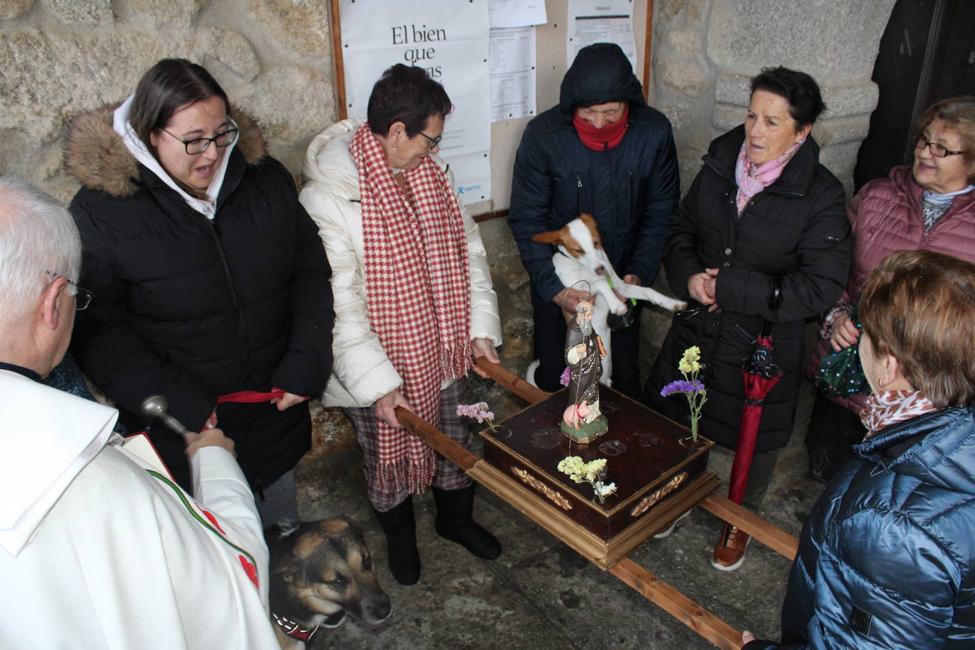 Sanchotello celebra la festividad de San Antón