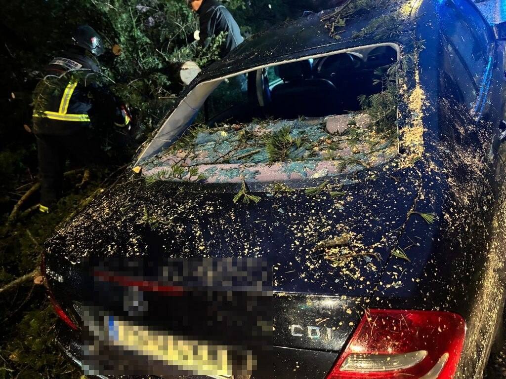 Un coche acaba aplastado por la caída de un pino a causa del fuerte viento en Alba de Tormes