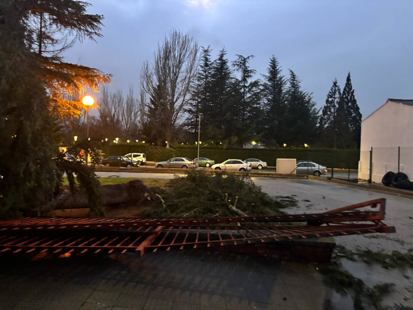 Un coche acaba aplastado por la caída de un pino a causa del fuerte viento en Alba de Tormes