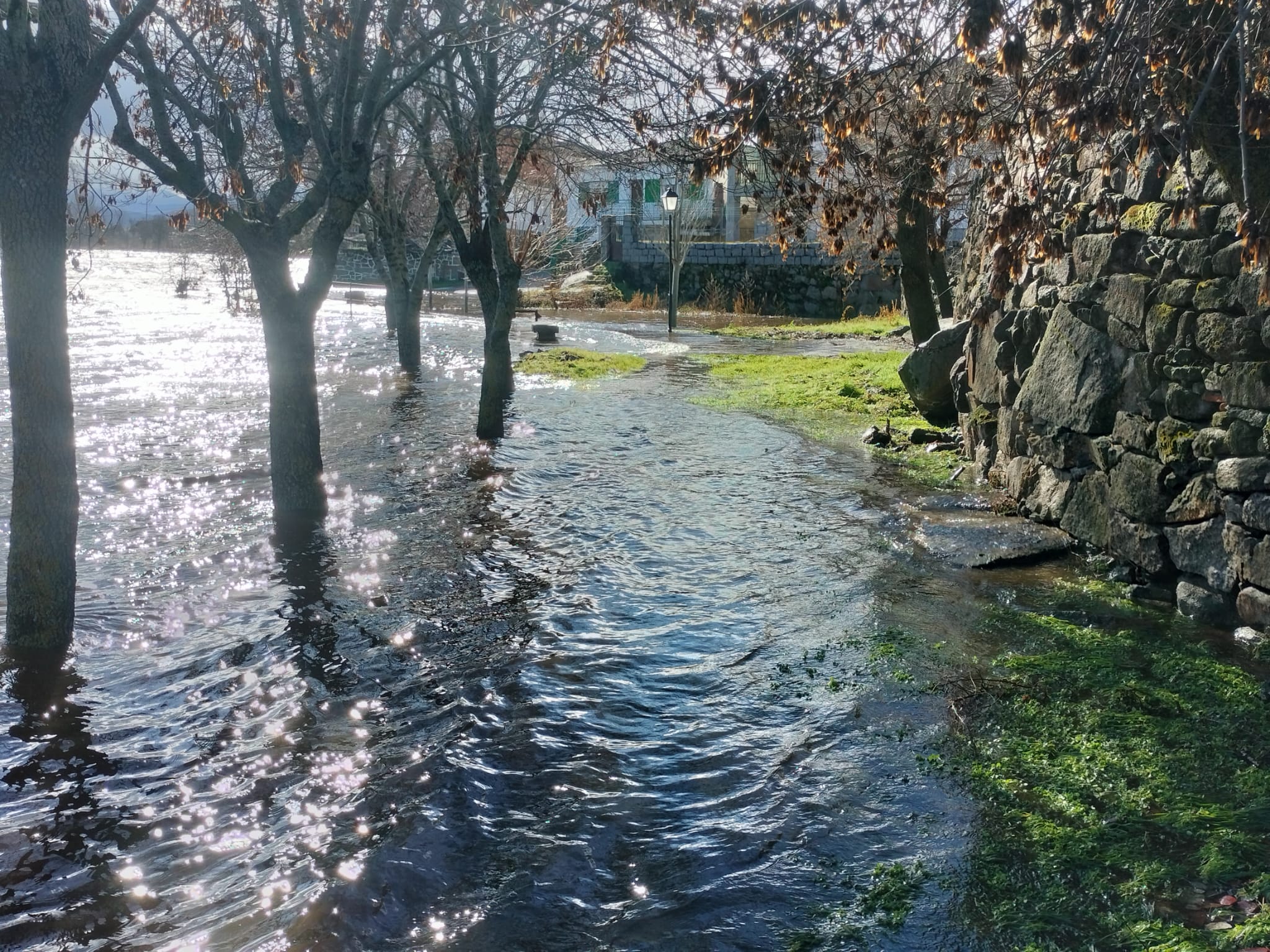 Así luce el río Tormes tras la espectacular crecida de las últimas horas