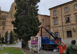 Operarios del Ayuntamiento retiran luces de Navidad en la plaza de Anaya.