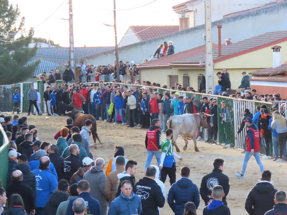 Bravura por las calles de Babilafuente