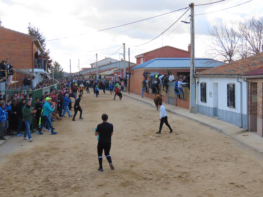 Bravura por las calles de Babilafuente