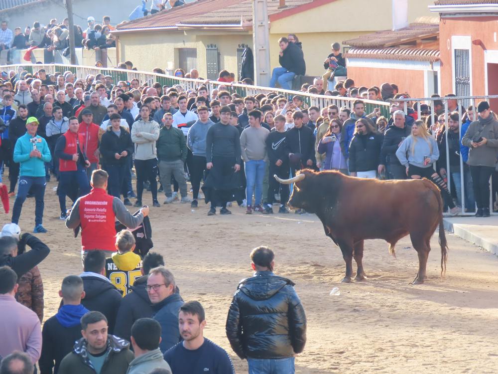 Bravura por las calles de Babilafuente