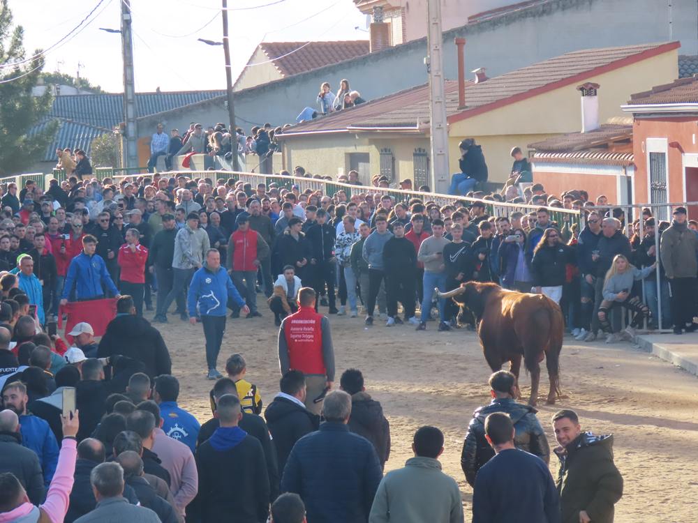 Bravura por las calles de Babilafuente