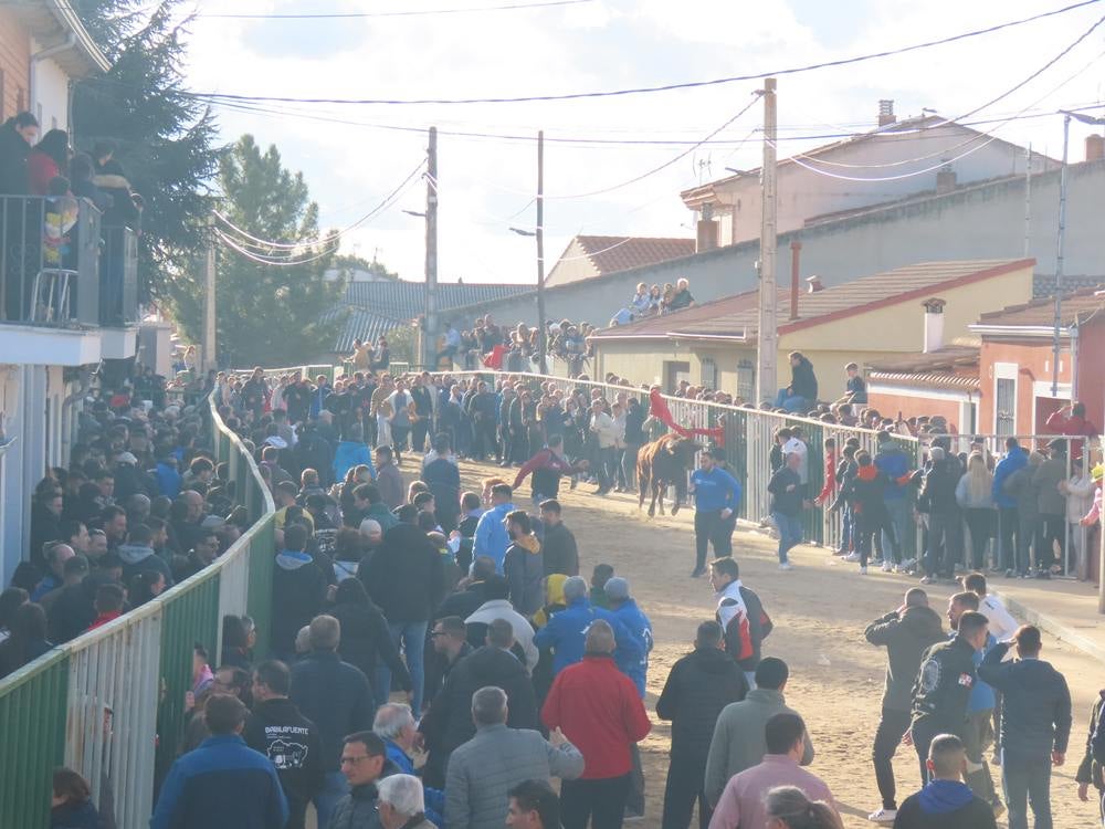 Bravura por las calles de Babilafuente