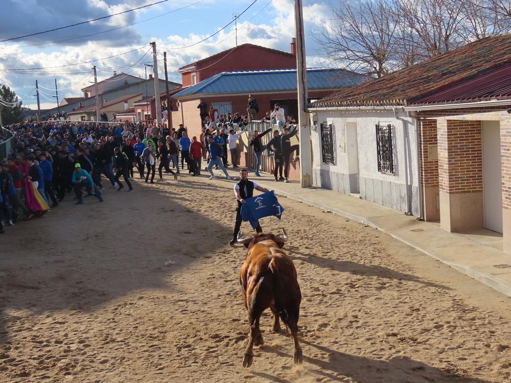 Bravura por las calles de Babilafuente