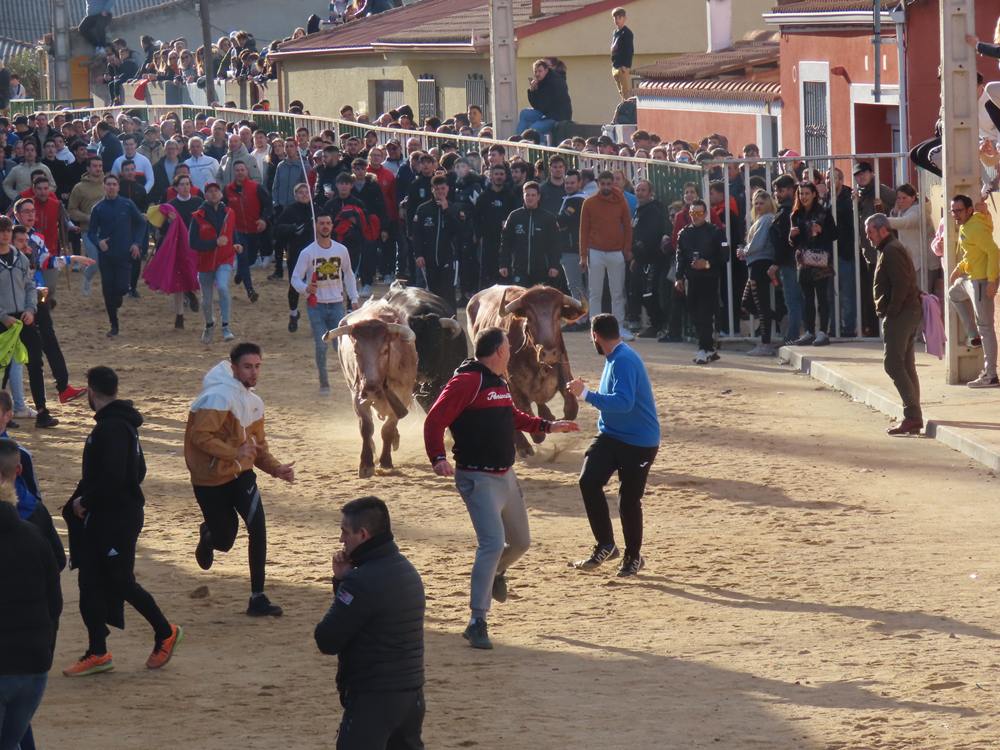 Bravura por las calles de Babilafuente