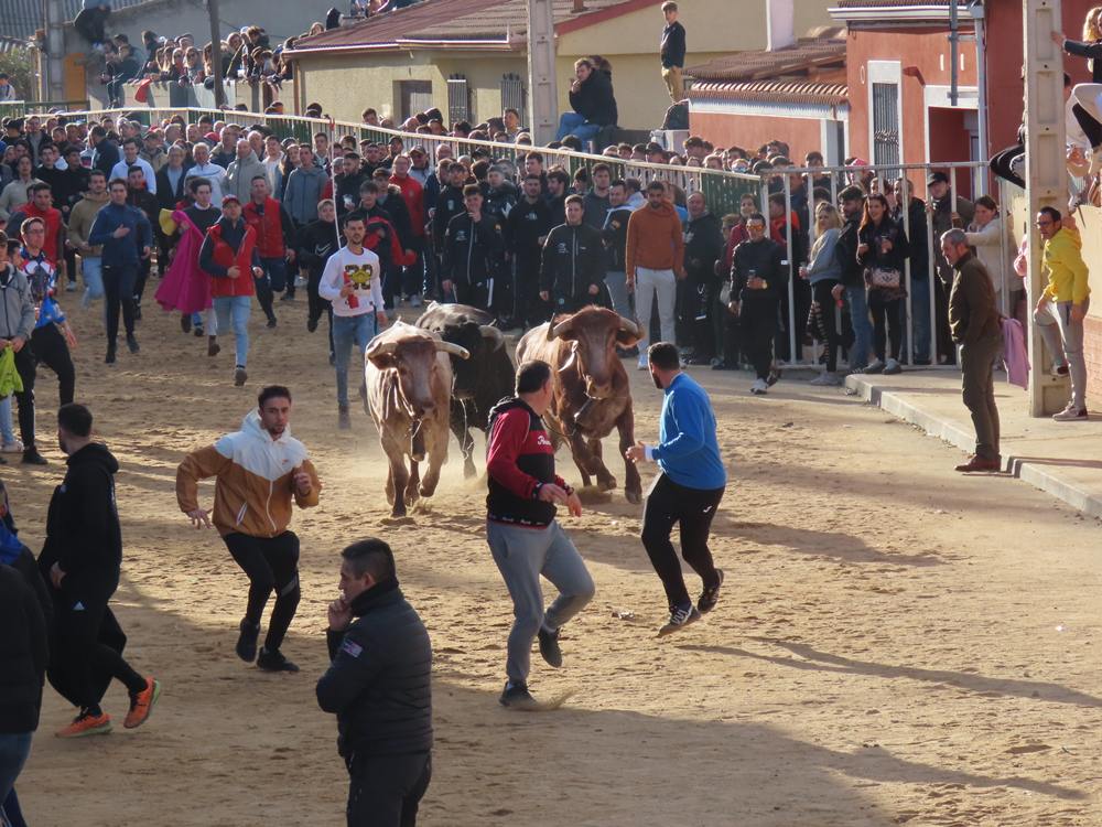 Bravura por las calles de Babilafuente