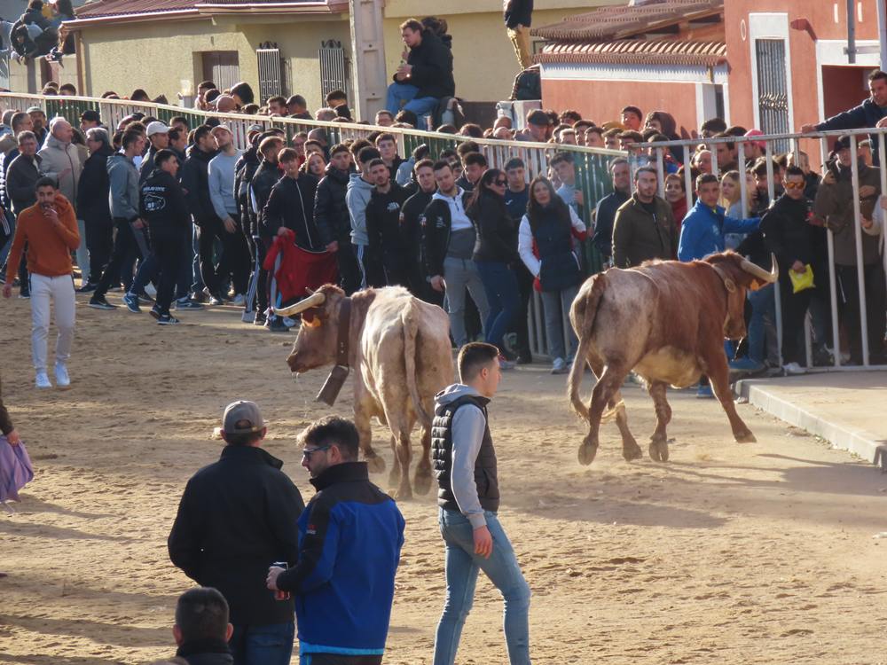 Bravura por las calles de Babilafuente