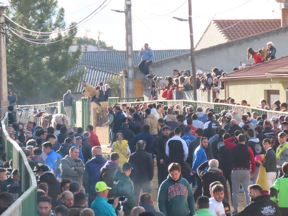 Bravura por las calles de Babilafuente