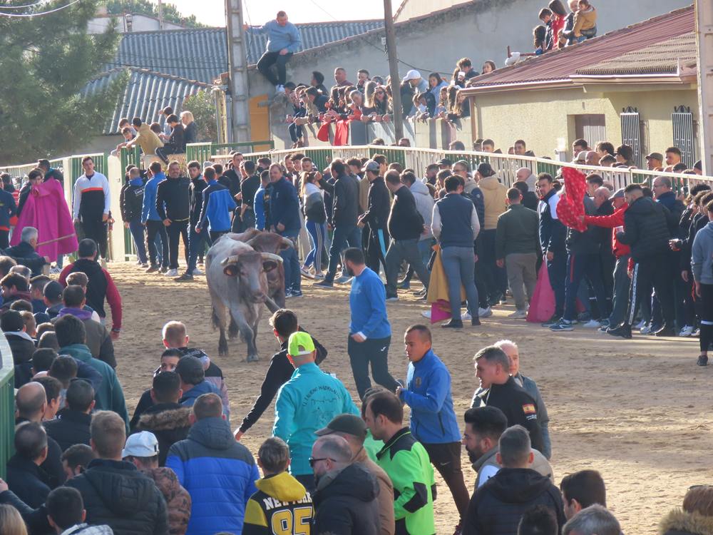 Bravura por las calles de Babilafuente