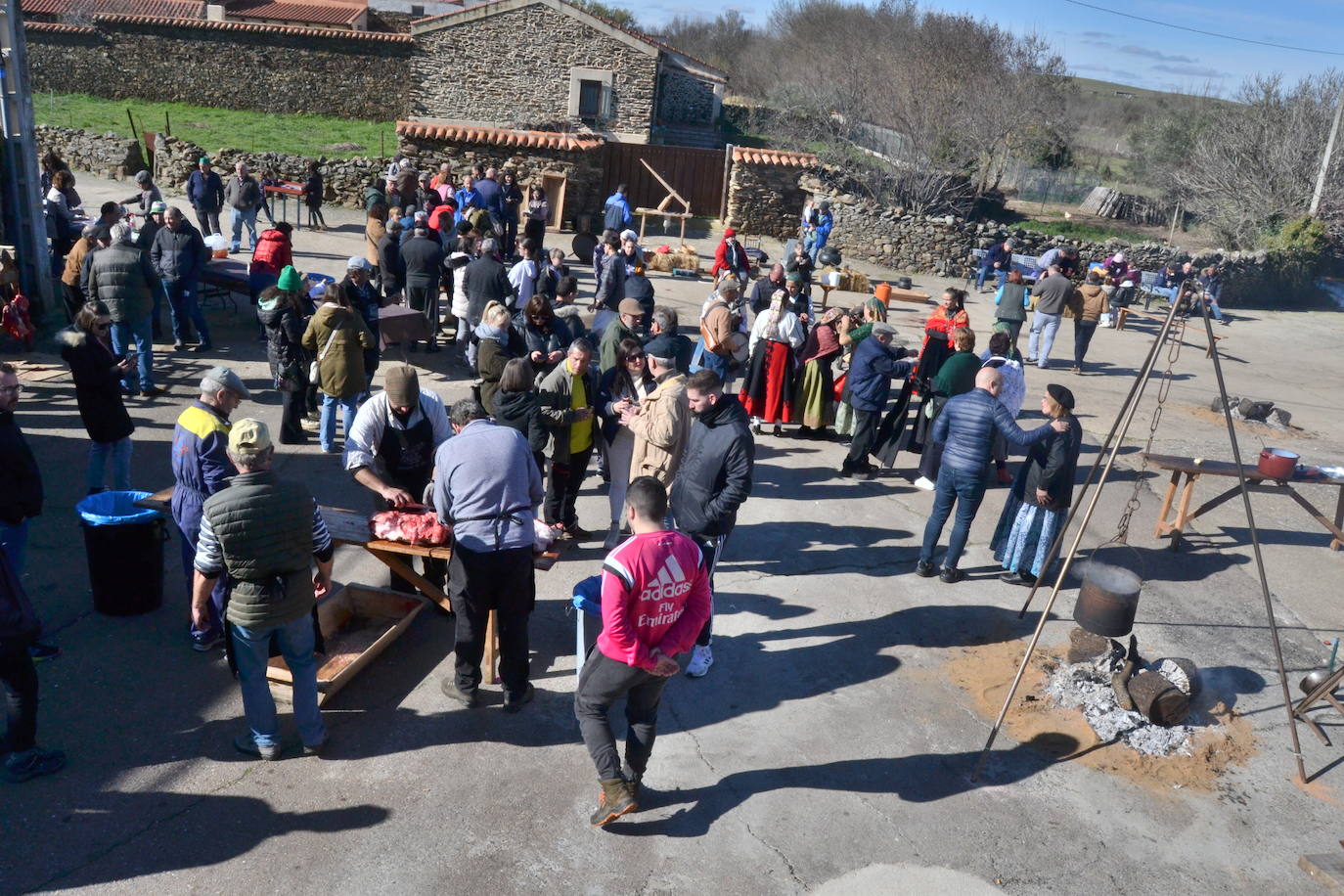 Soleado día de matanza en Saelices el Chico