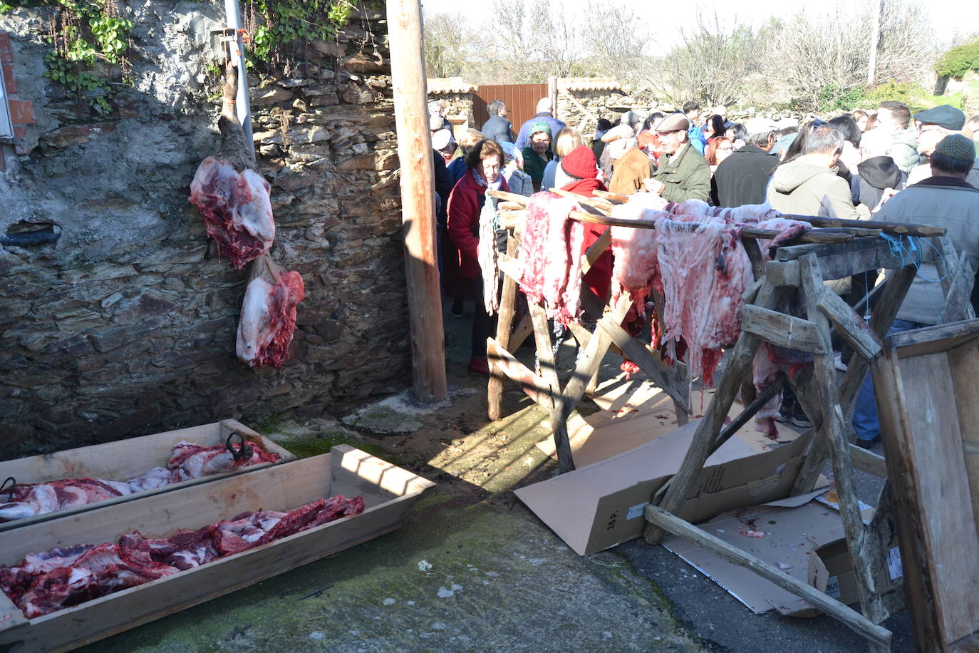 Soleado día de matanza en Saelices el Chico